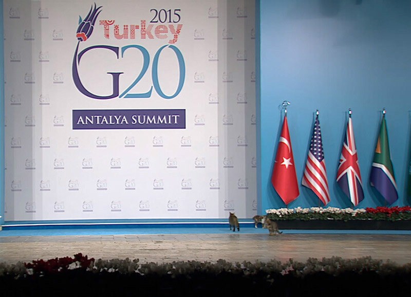 ֻ؈G20 @⡰؈